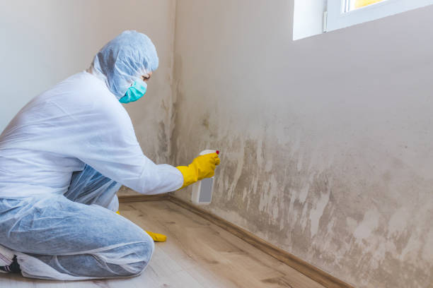 Mold Remediation specialist working in Farmington
